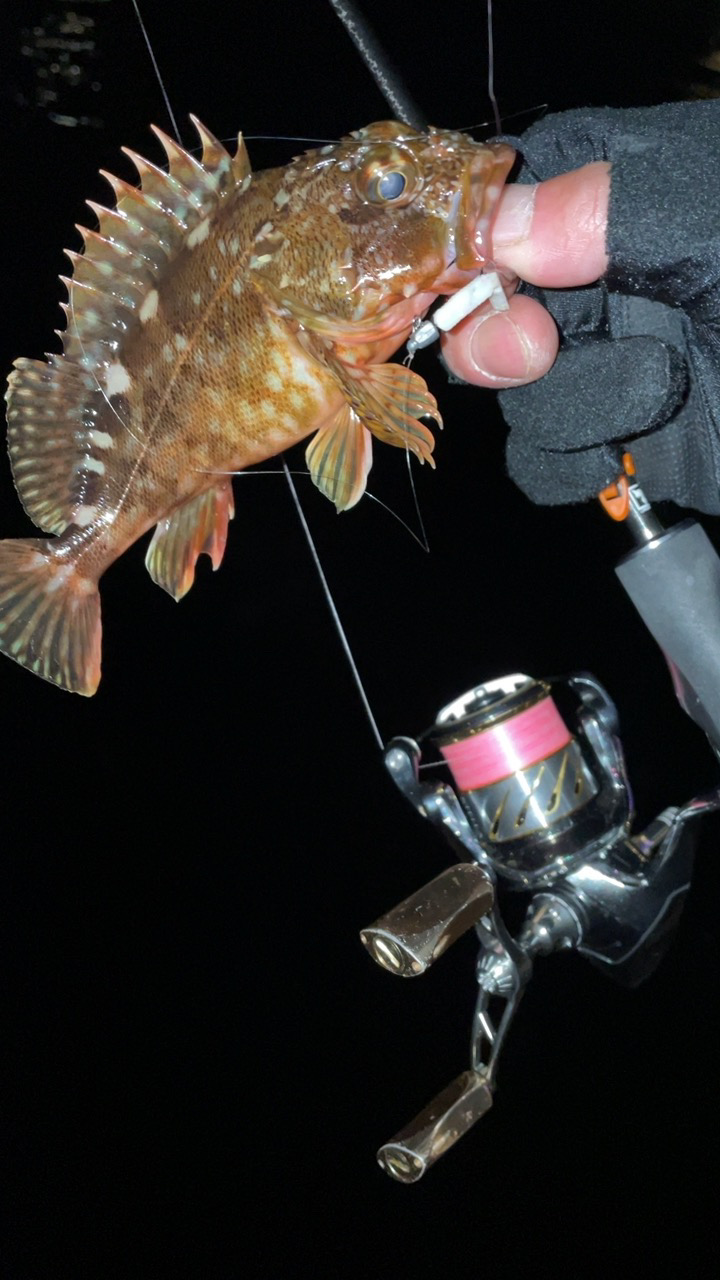 メバリング修行