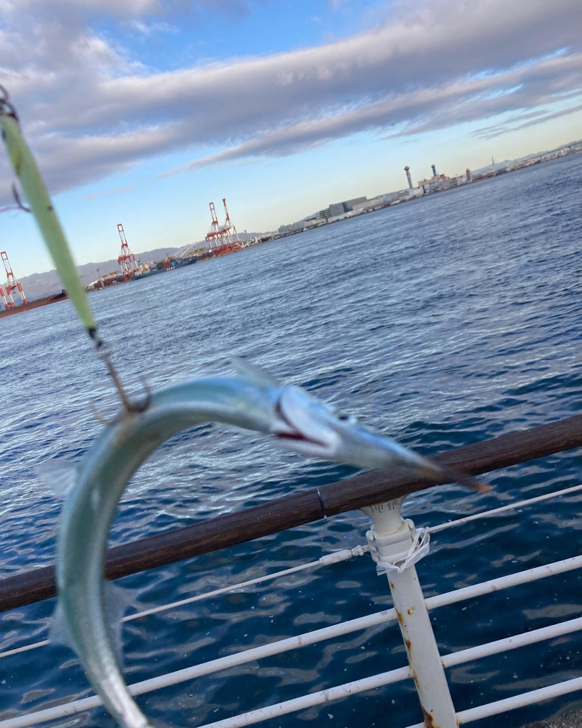 再び冷え込む夜明け。青牙マルチ。。