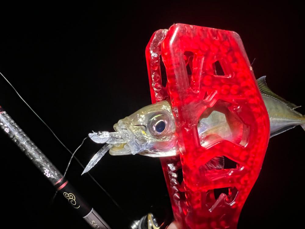 鯵を探して三千里Vel.13 淡輪漁港