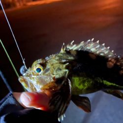 四日市ライトゲーム