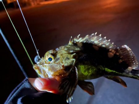 四日市ライトゲーム