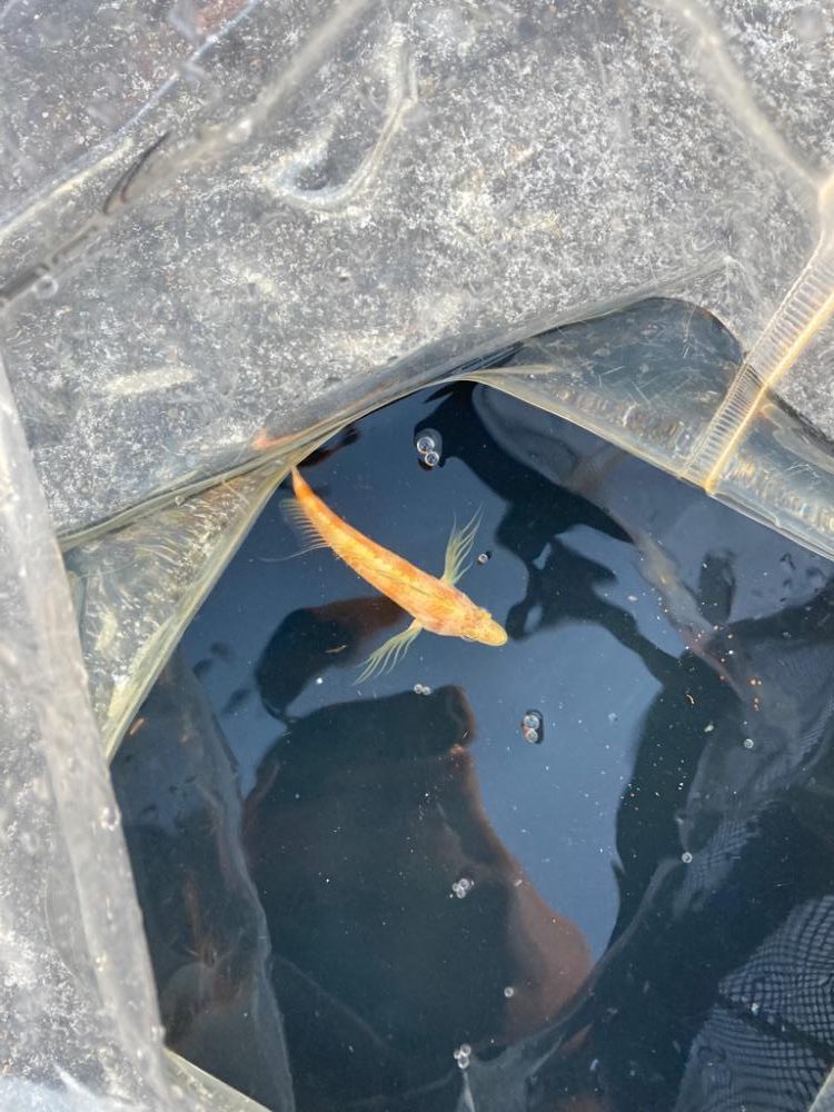 寒い中小物釣り