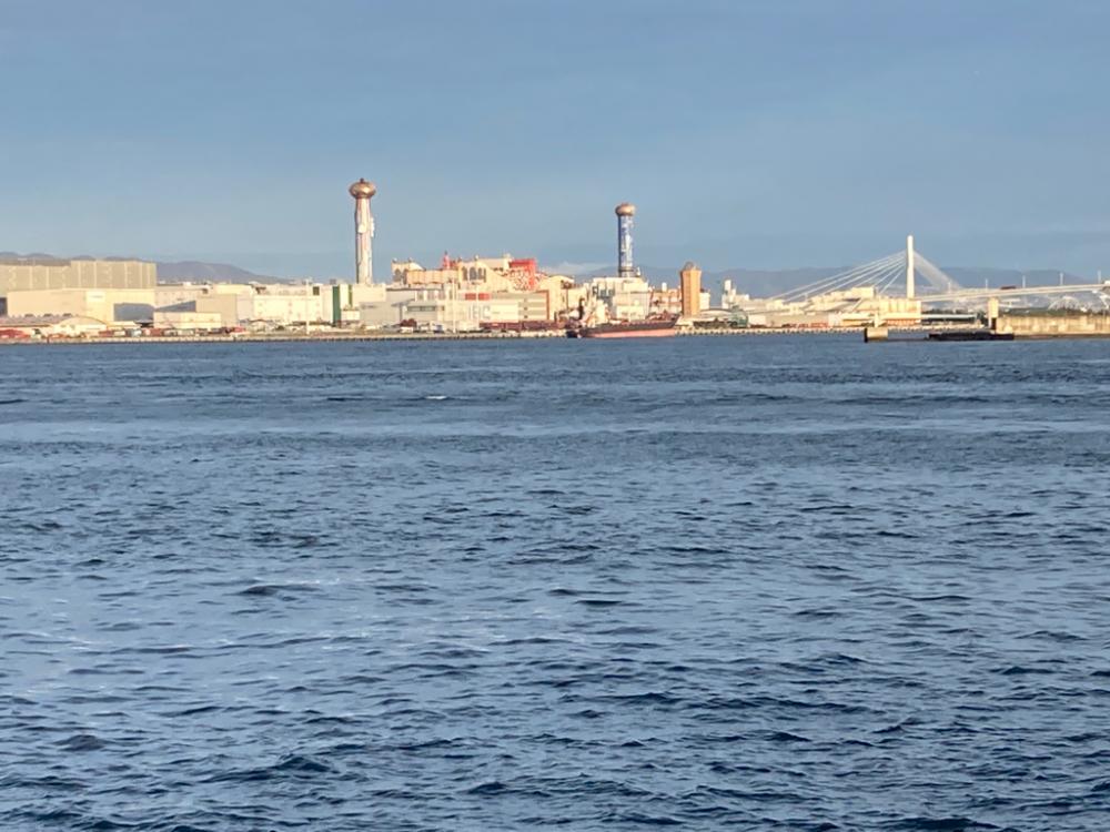 サゴシ君ゲット　