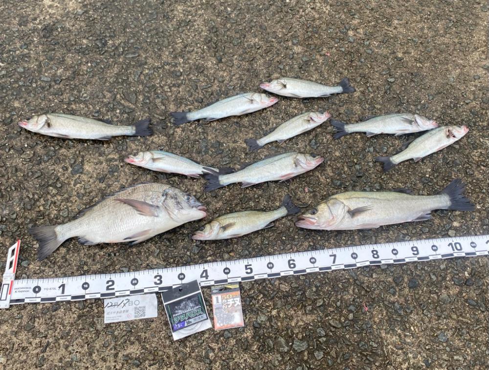 冷え込む日になりました。