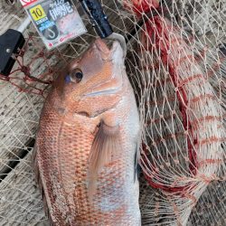 朝イチは超高活性！