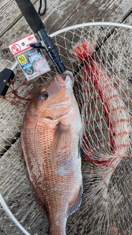 朝イチは超高活性！