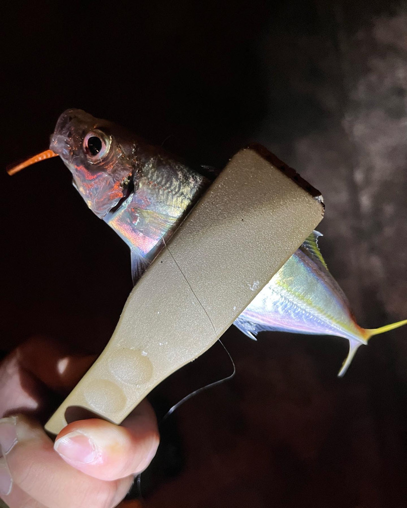 休みの日の恒例行儀w