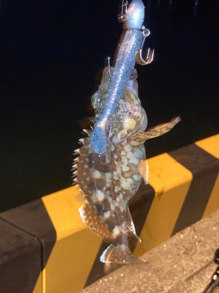 ベイトタックル練習中