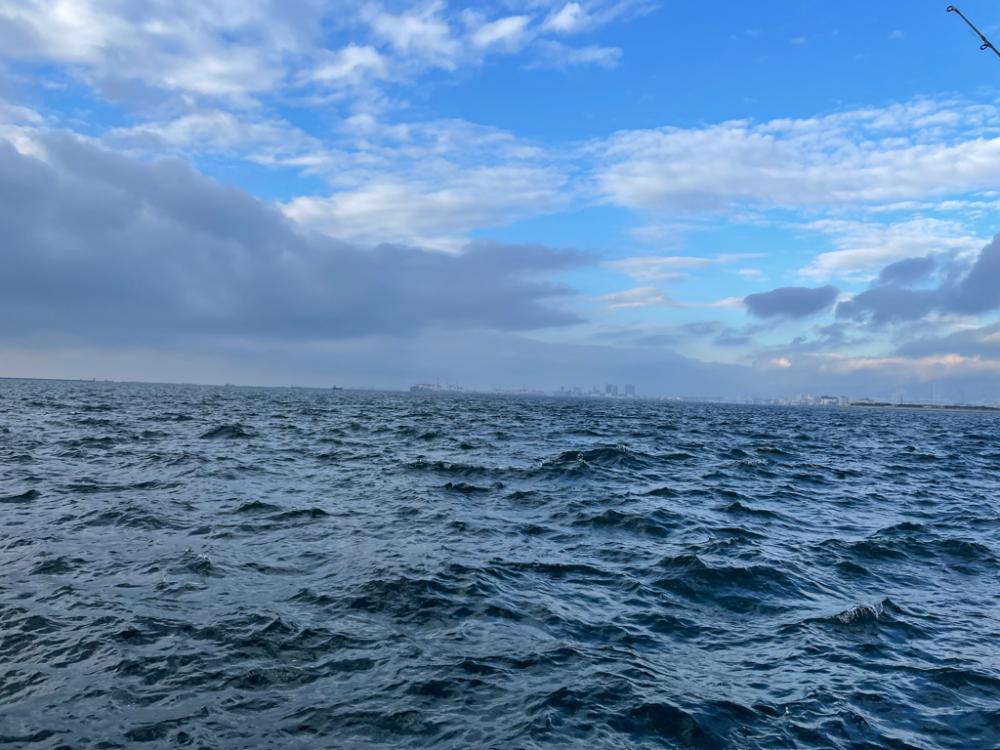 やっと、やっと出たサワラ！