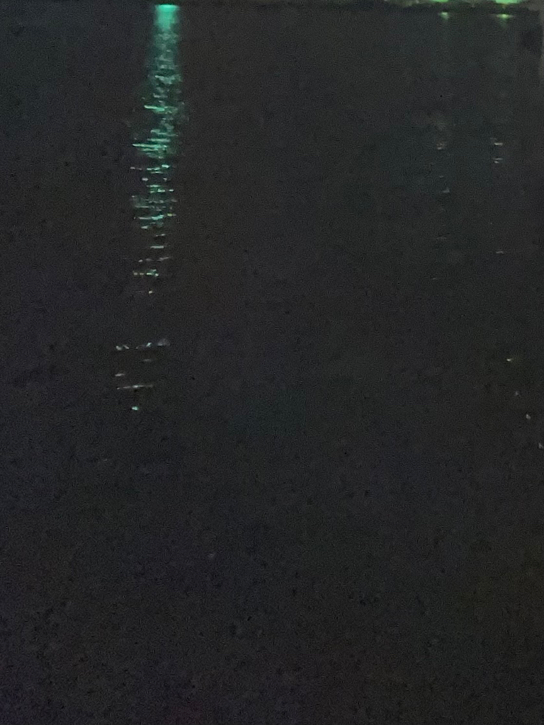 ジグ単deアジング♪やはり…子アジング