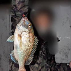 ライトタックルゲーム