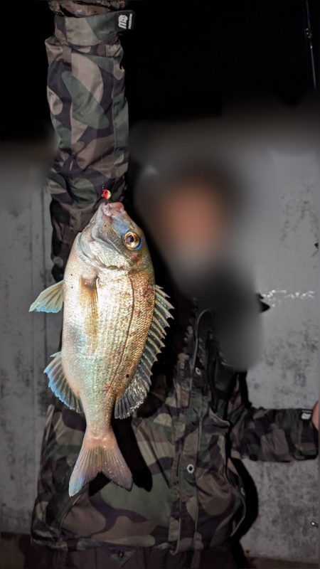 ライトタックルゲーム