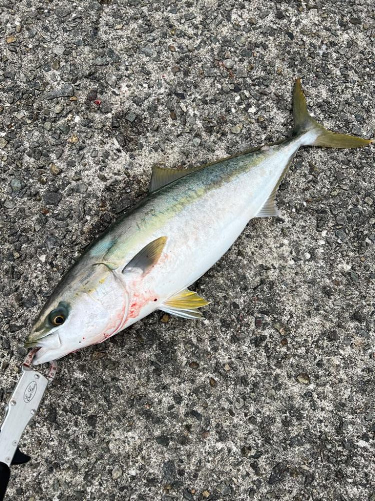 ラストスパート?