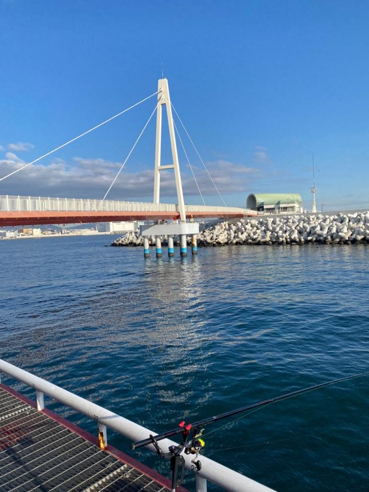 尼崎魚釣り園でチヌ2匹