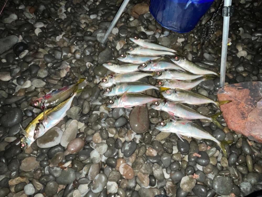 ちょい投げサビキ