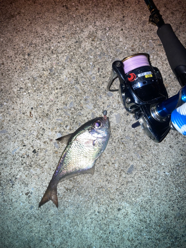 インチキアジング