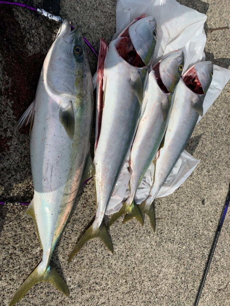 青物りんこやx4