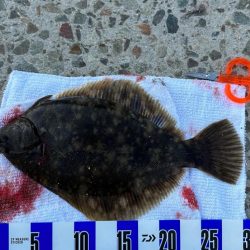 2022年 釣り納め カレイ投げ釣り