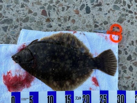 2022年 釣り納め カレイ投げ釣り