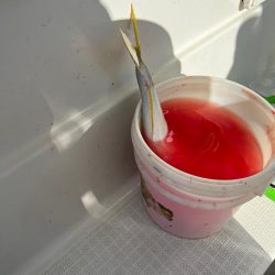 コレ横綱が持つやつ!!