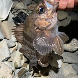 フロートメバリング