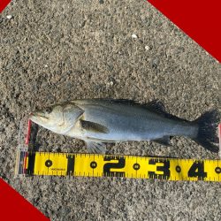 釣り場に着くと