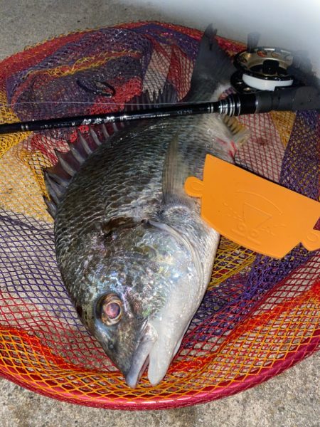 ヘチってきました