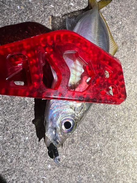 鯵を探して三千里Vel.16