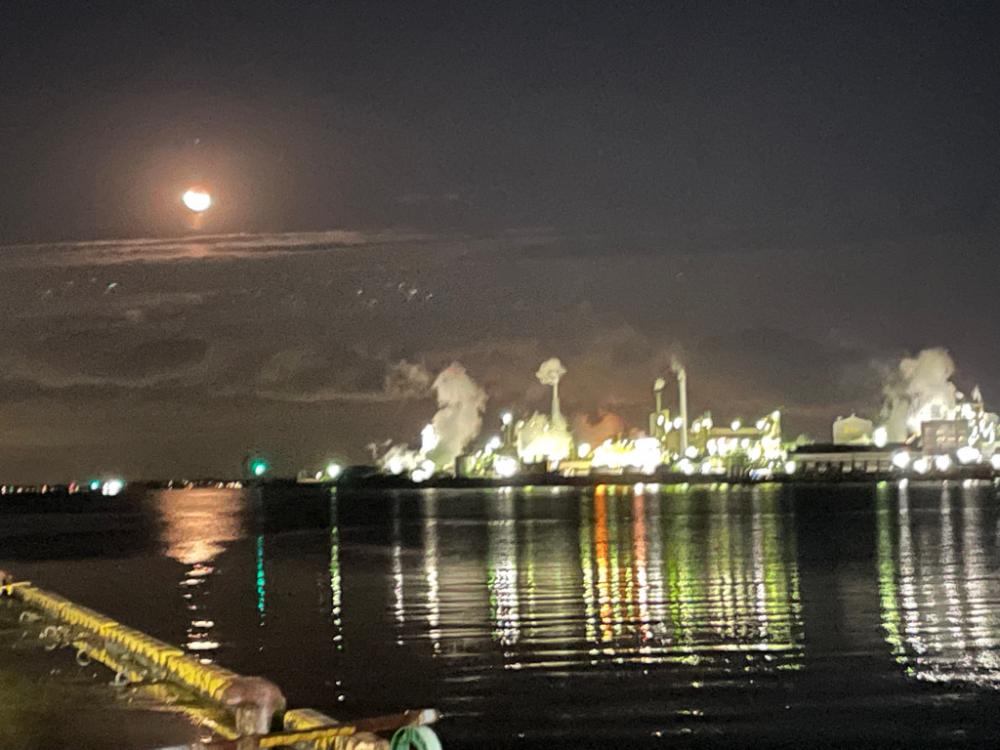 アジングでコイツ