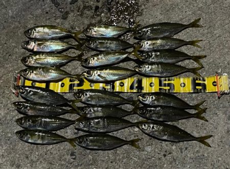 アジングたのしい〜