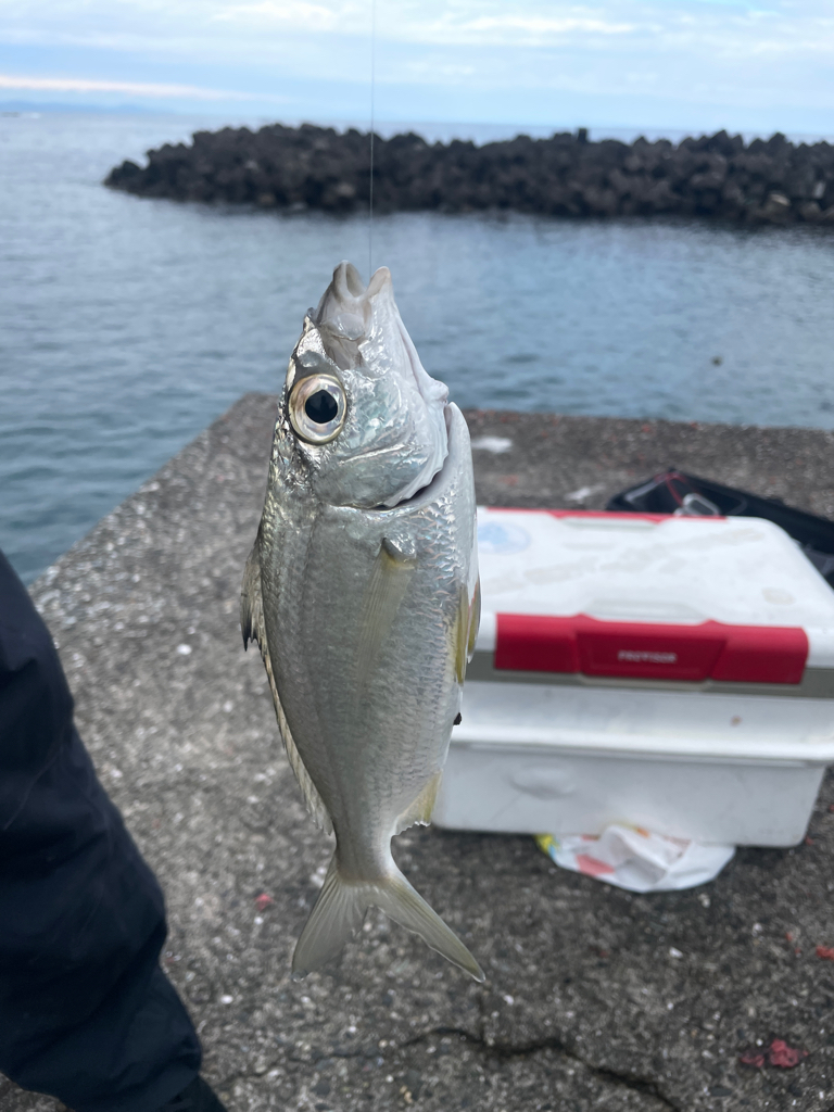 志和フカセ釣り