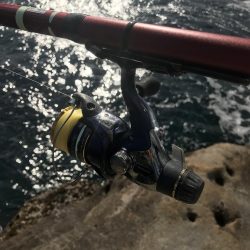 白浜の見草地磯でグレ10匹GET