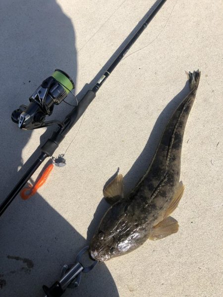 寒くなったらフラットフィッシュゲーム