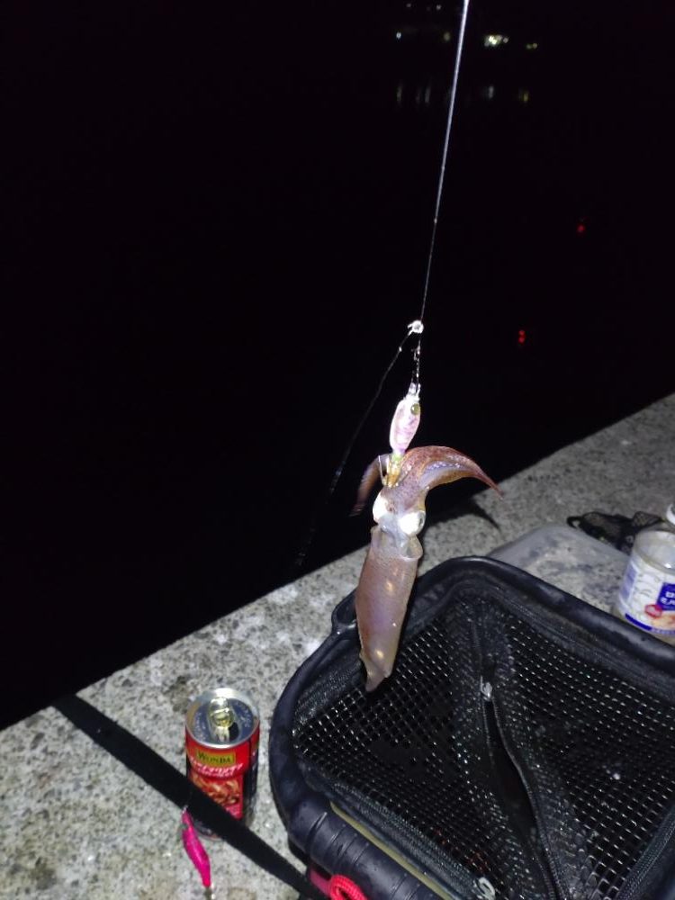 一段と冷え込んできたのでヒイカ