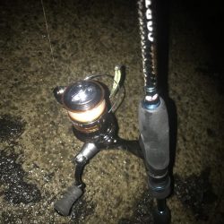 ナイトアジング絶好調