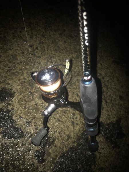 ナイトアジング絶好調