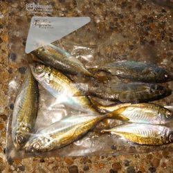 毎回同じ様にはならない