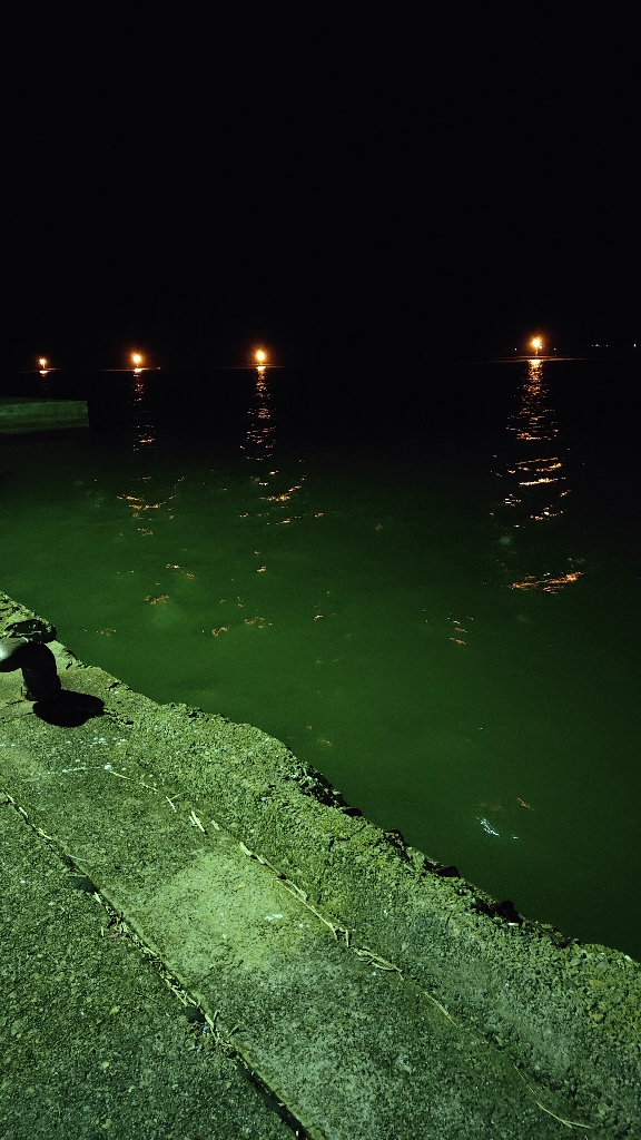 久々のアジング