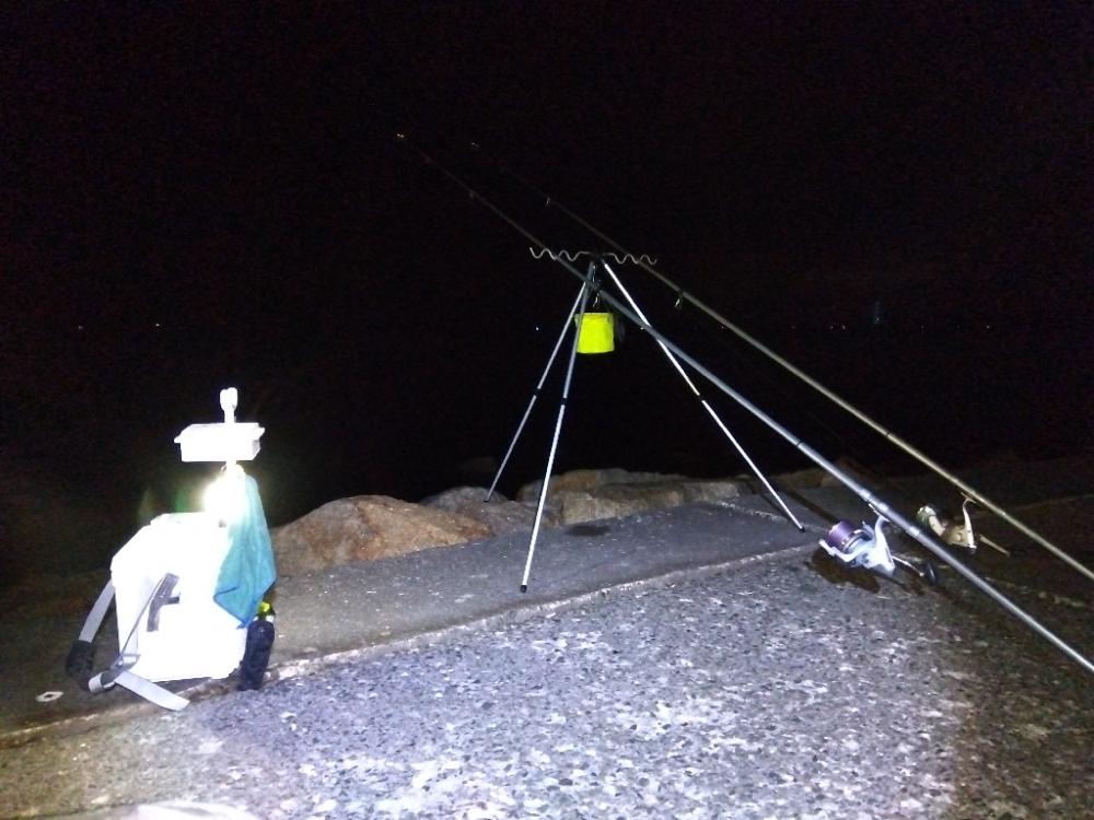 苅屋海岸のキス釣り