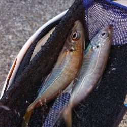 2022播磨遠征第5回