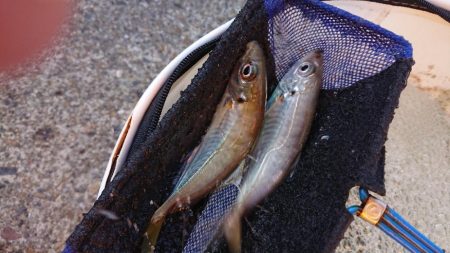 2022播磨遠征第5回