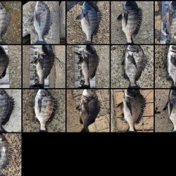 イチノ兄弟（兄）釣果！