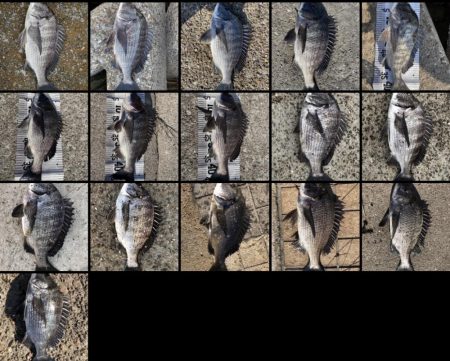 イチノ兄弟（兄）釣果！