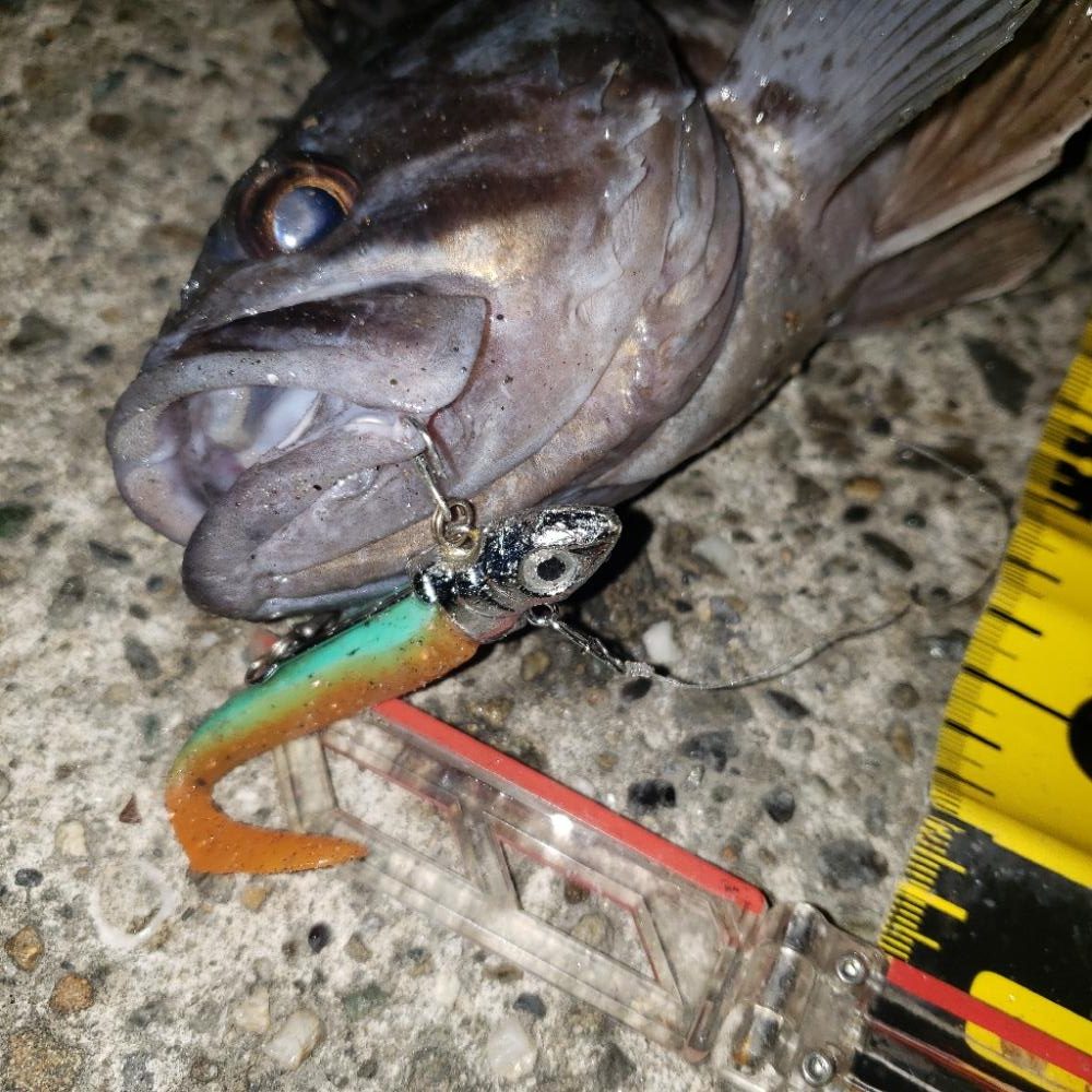 鬼渋だねスズキさん!