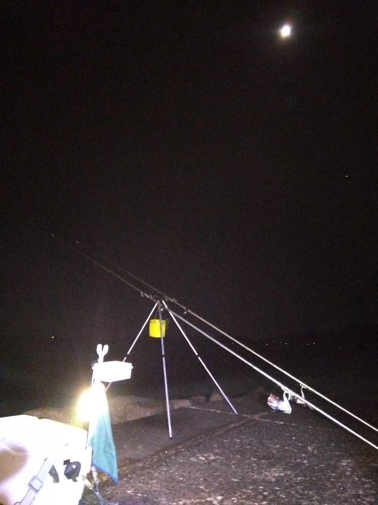 苅屋海岸のキス釣り