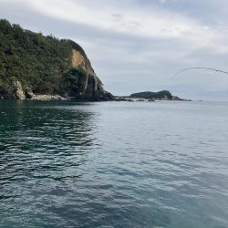 たかたかの釣り日記