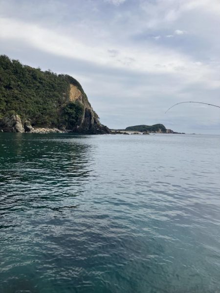 たかたかの釣り日記