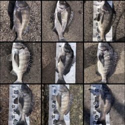 イチノ兄弟(兄)釣果!