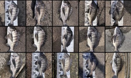 イチノ兄弟(兄)釣果!