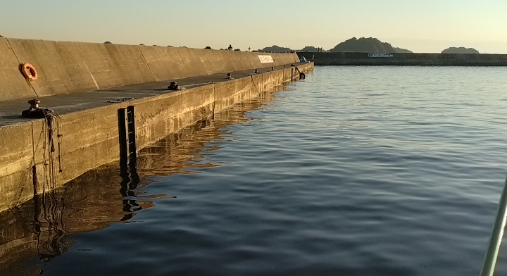 フロートメバリング